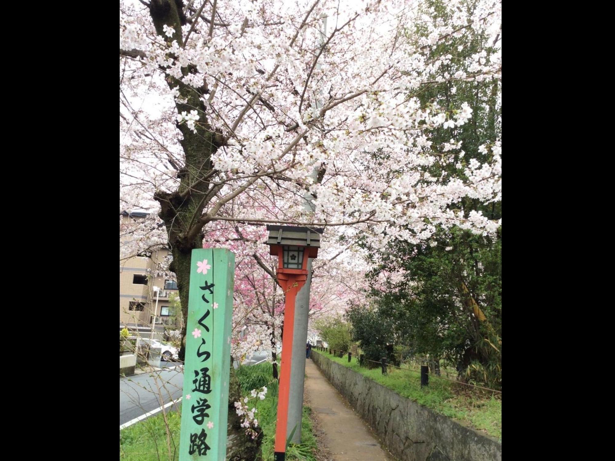 Guesthouse Hana Nishijin Kyoto Exterior photo