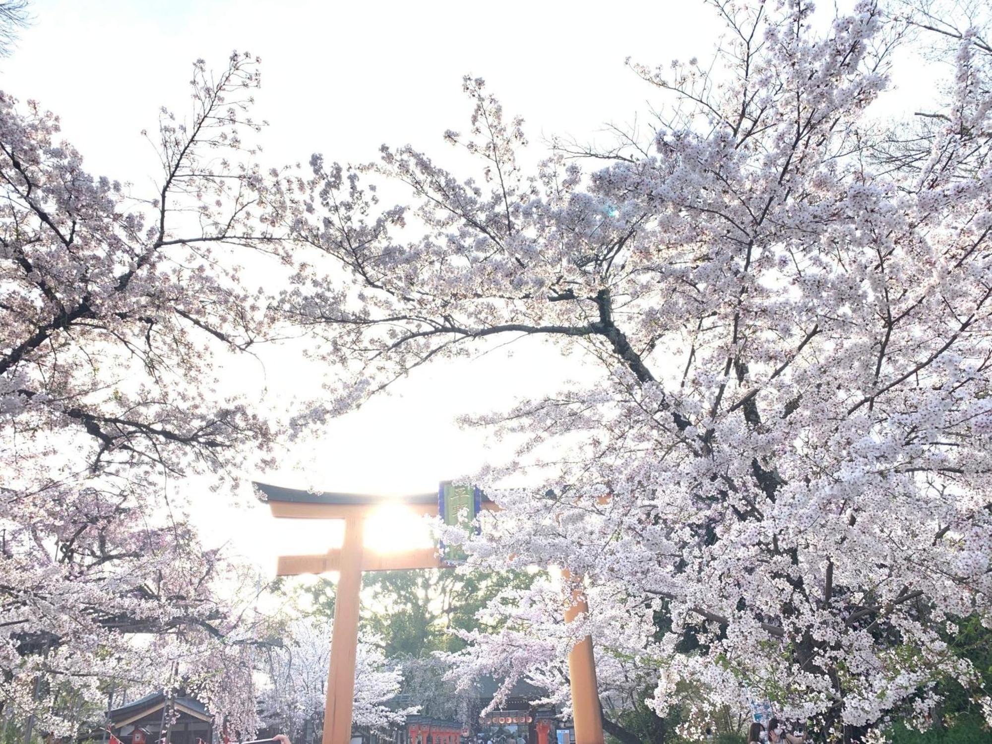 Guesthouse Hana Nishijin Kyoto Exterior photo